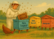 woman beekeeping